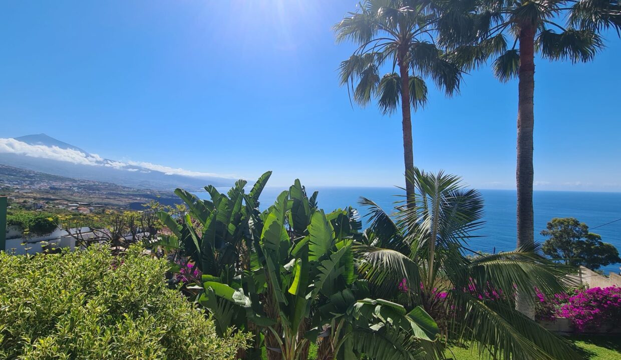 1 Aussicht mit Teide